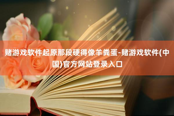 赌游戏软件起原那段硬得像羊粪蛋-赌游戏软件(中国)官方网站登录入口